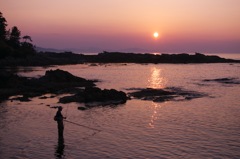 夕暮れ蛸漁