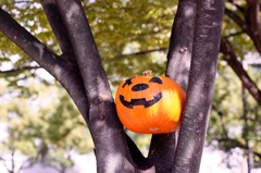 ハロウィンを探せ！2