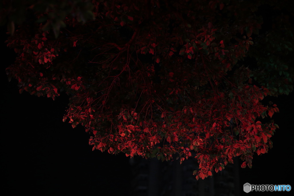 In Shanghai　上海の日常