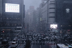 日本の日常　降雪