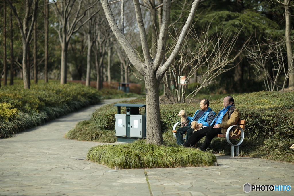 In Shanghai　これが「似た者同士」と言うことか。。。
