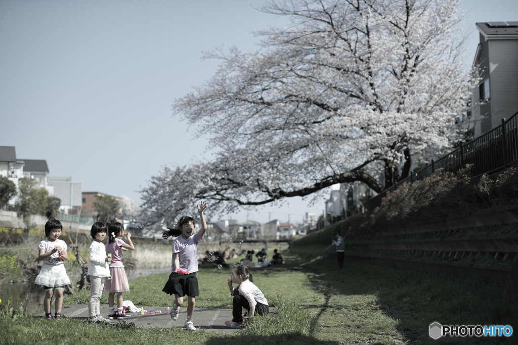日本の日常　心躍る季節