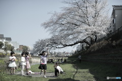 日本の日常　心躍る季節