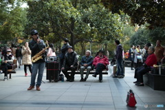 In Shanghai　上海の日常