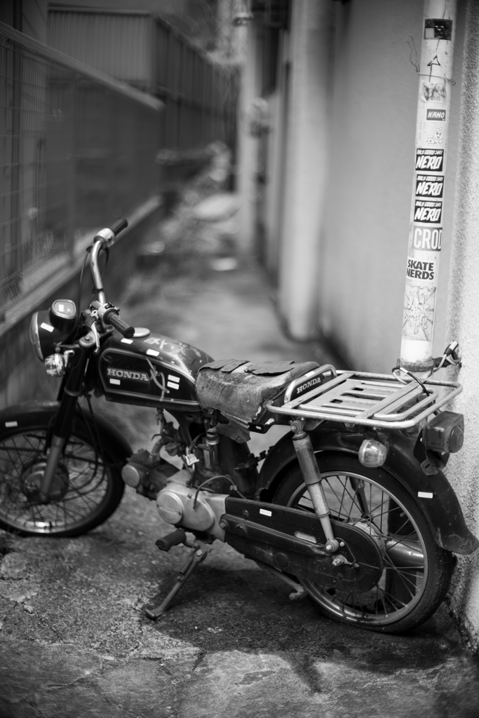 日本の日常　長い休み