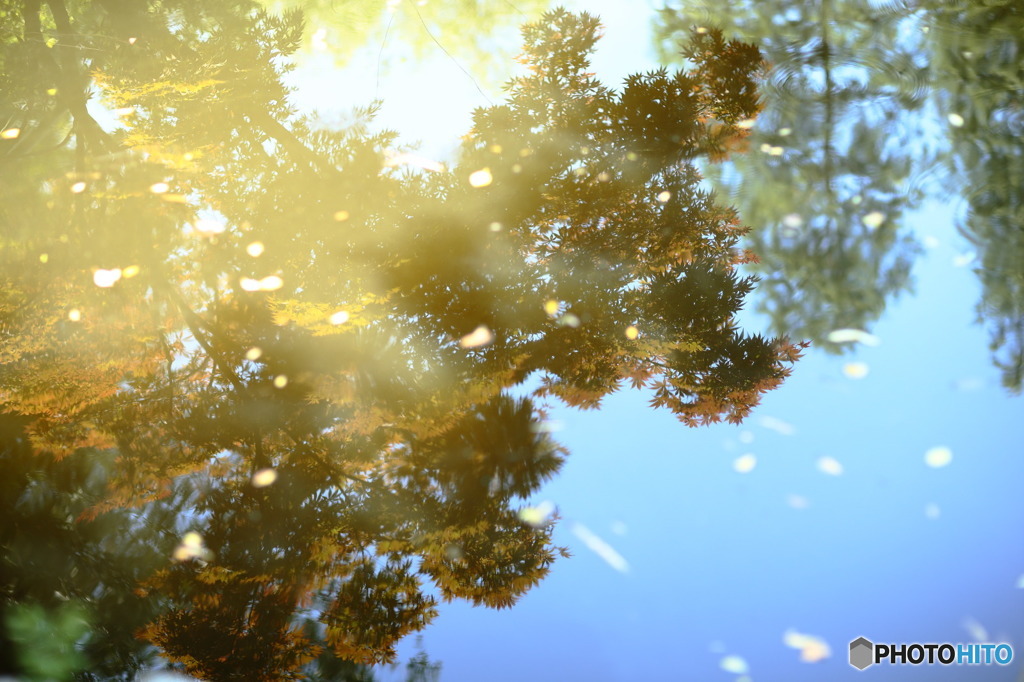 これはエアリーフォト？