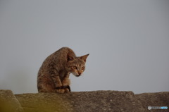 In Nepal