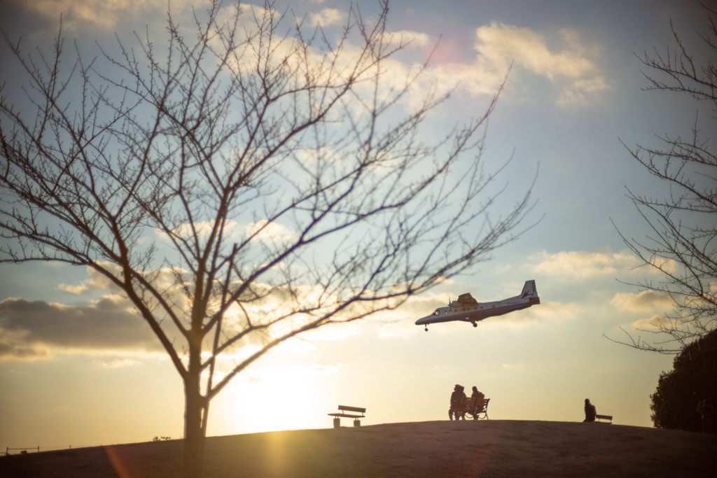 日本の日常　冬の光