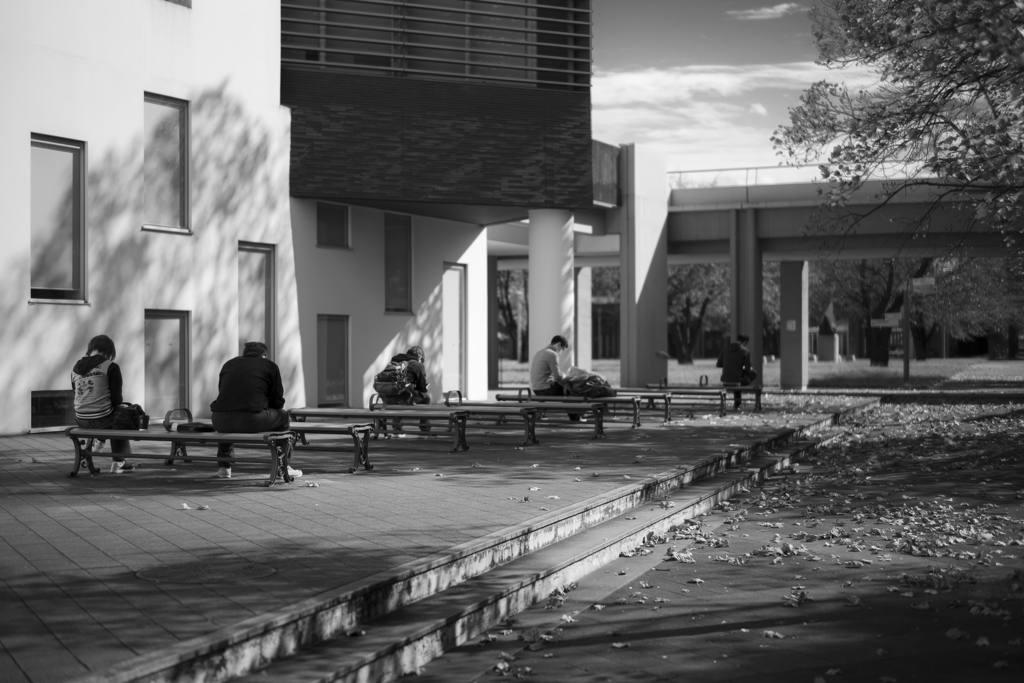 日本の日常　お昼休憩