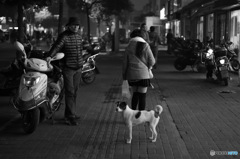 脚、長くないかい？