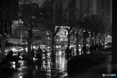 In Shanghai　濡れる街