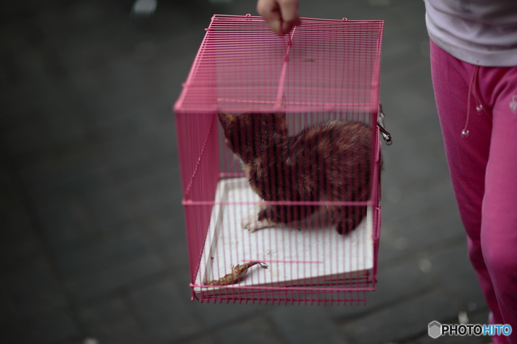 ピンクの箱。ピンクのスウェットパンツ。