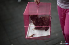 ピンクの箱。ピンクのスウェットパンツ。