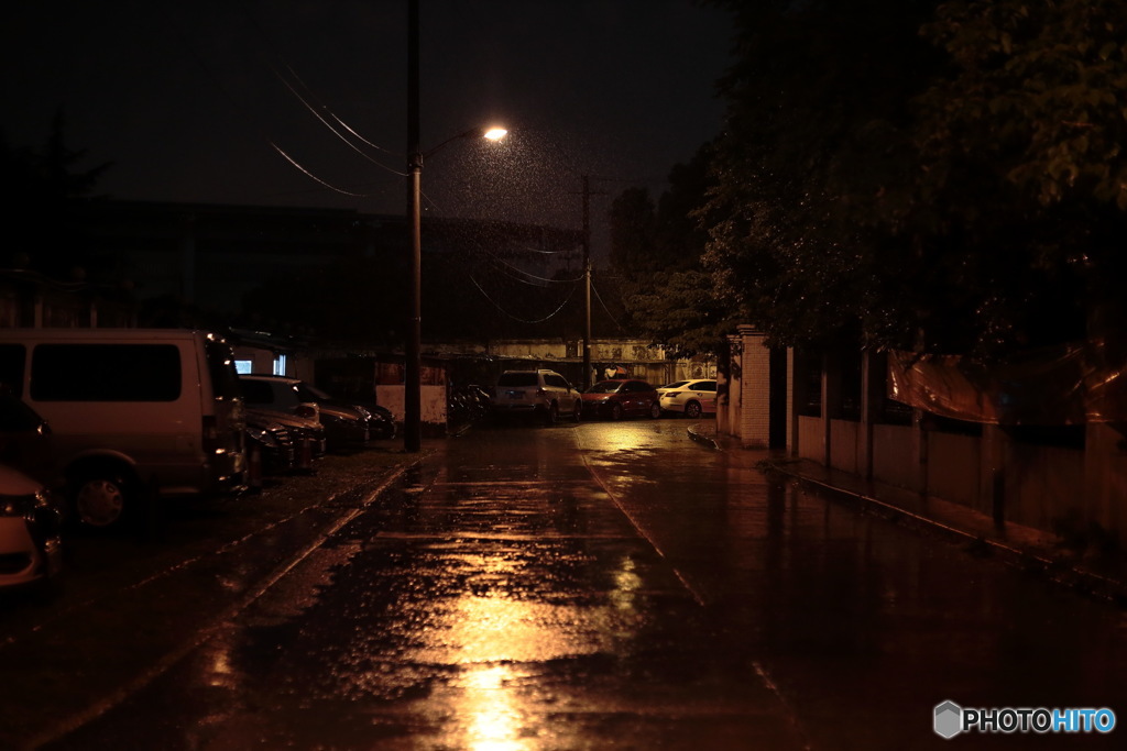 In Shanghai　上海の日常