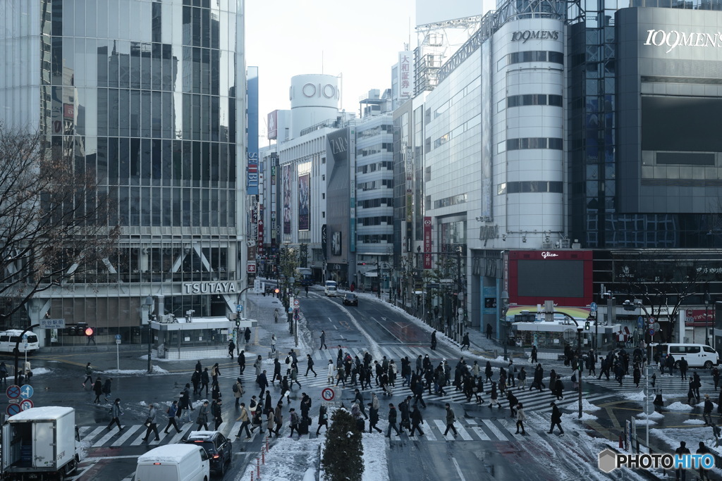 日本の日常　降雪…翌朝