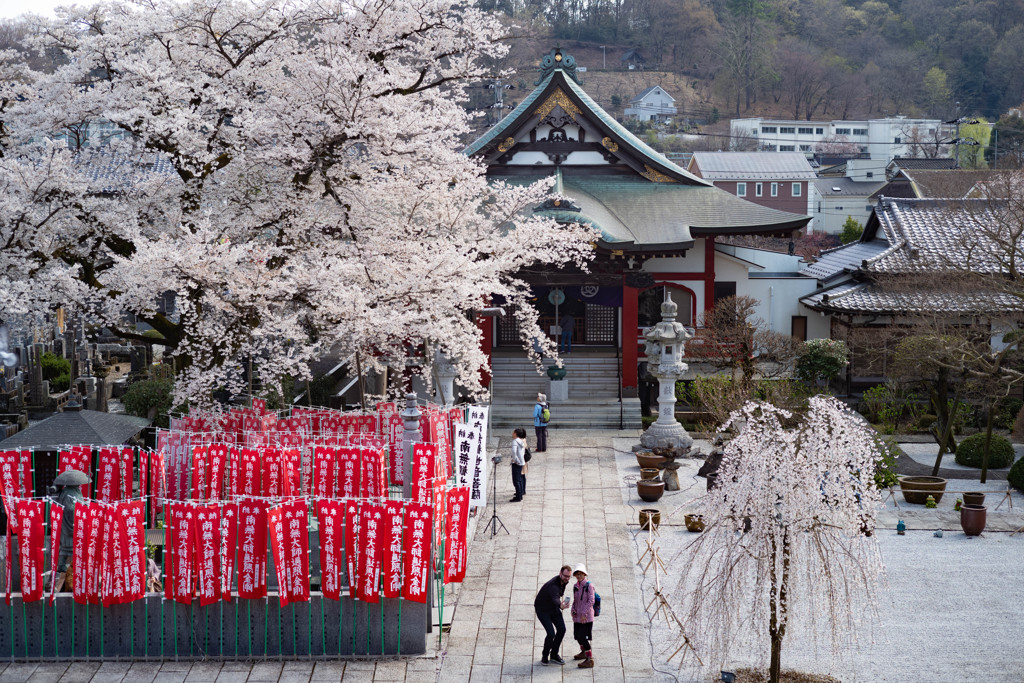 日本の日常　同じ目線で撮りますね