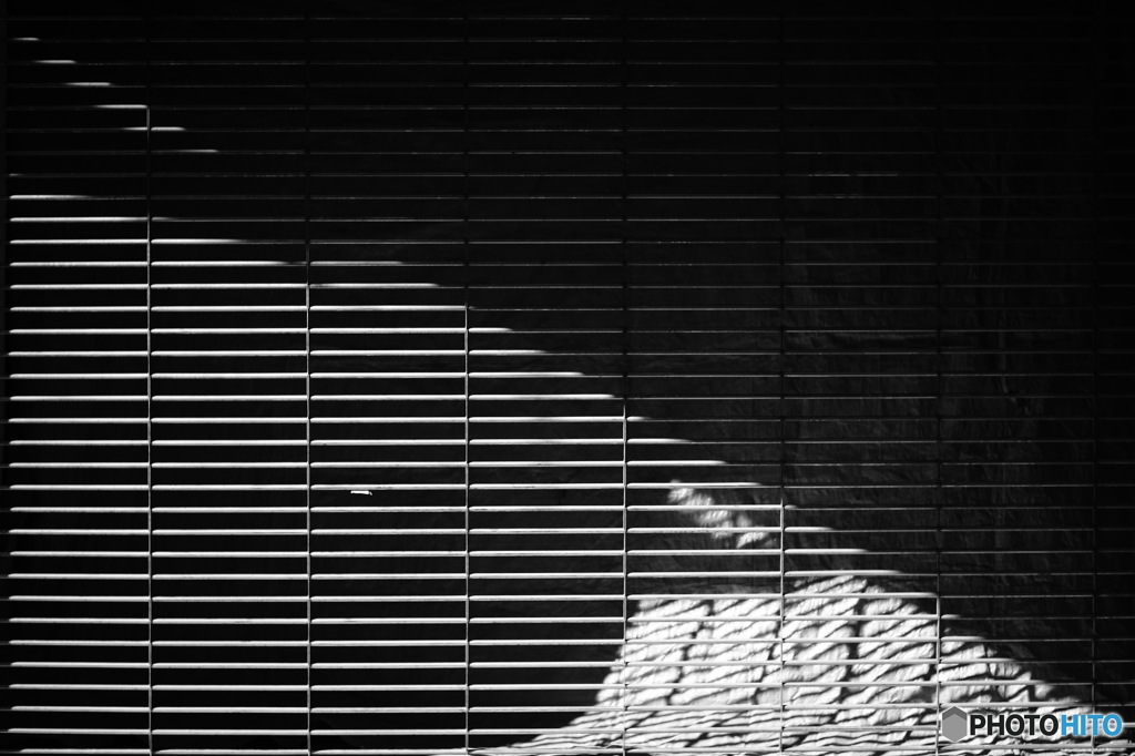 陰影　シャッター