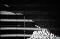 陰影　シャッター