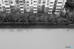 In Shanghai　人気のない地帯