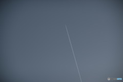 In Czech　チェコの日常