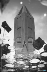 In Shanghai