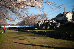日本の日常　立つ鳥跡を濁さず
