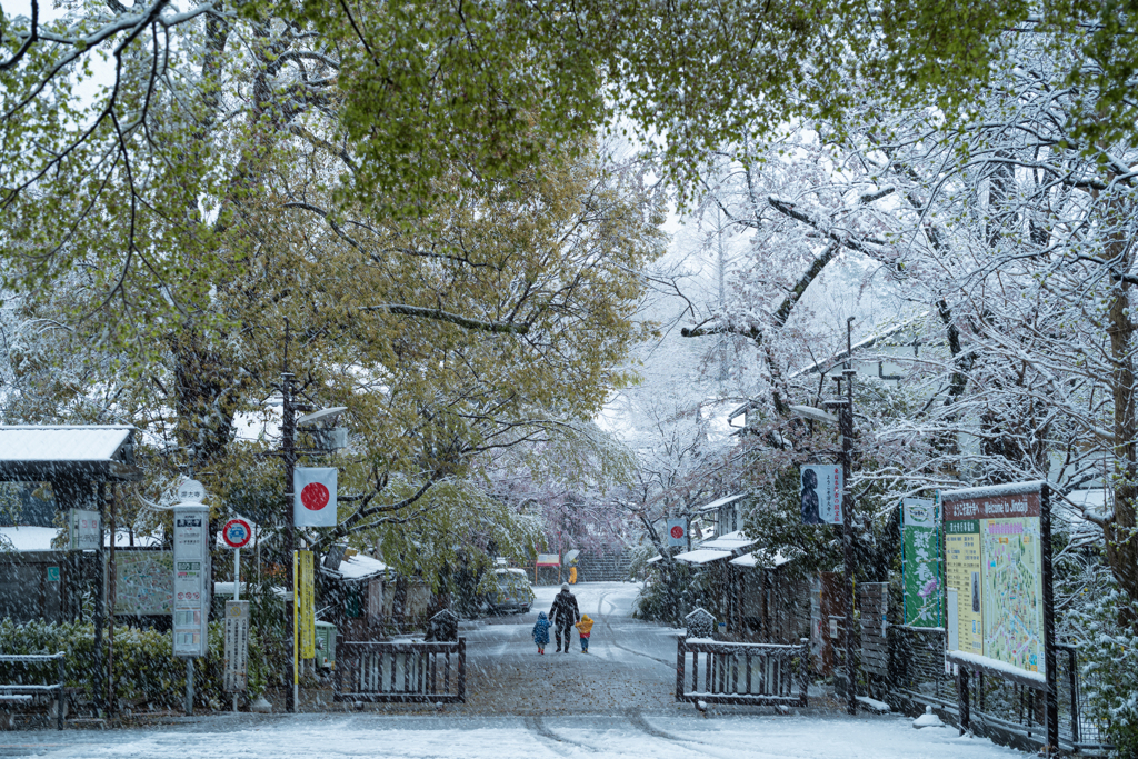 日本の日常　父親との思い出