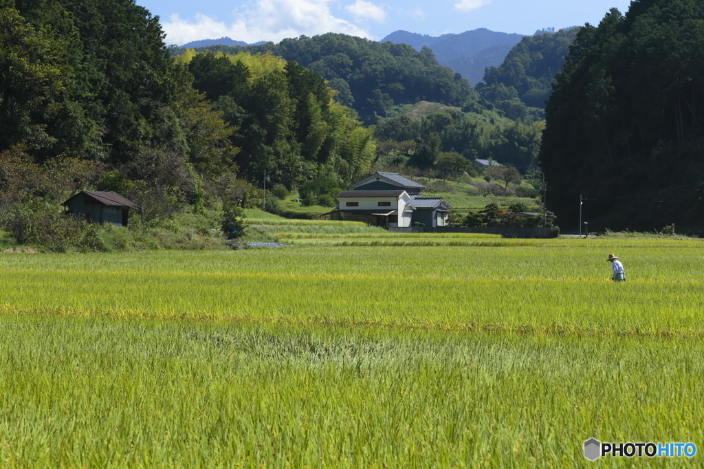 日本の風景①
