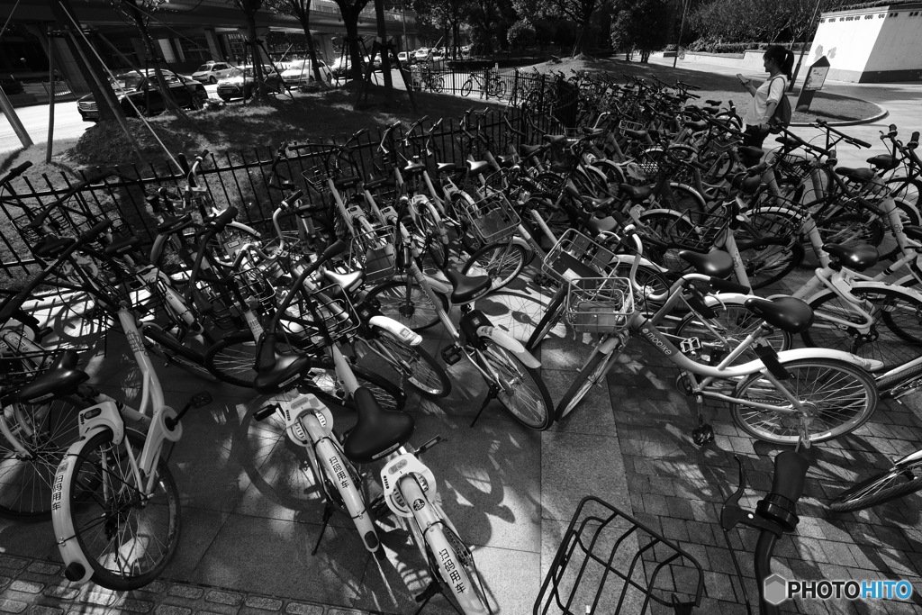 In Shanghai　上海の日常　雑多