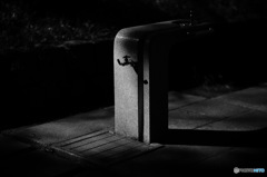 陰影　水飲み場