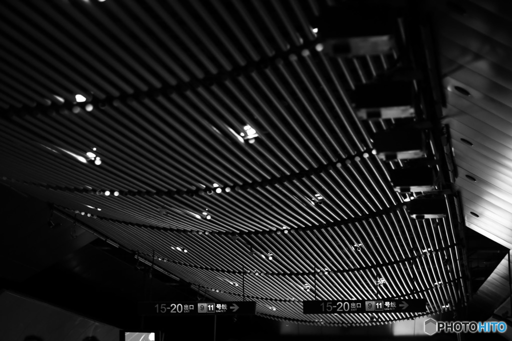 凝った天井だな〜