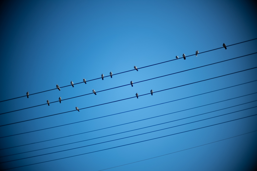 日本の日常　音符