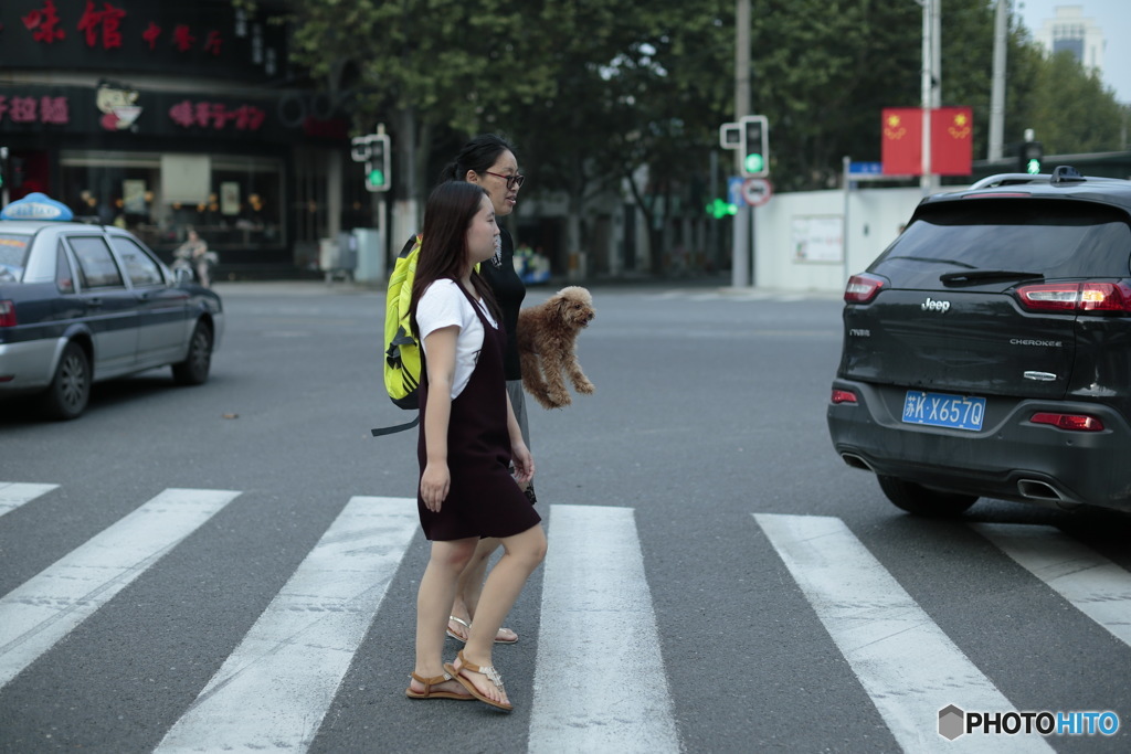 In Shanghai　上海の日常