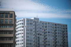 日本の日常　信念