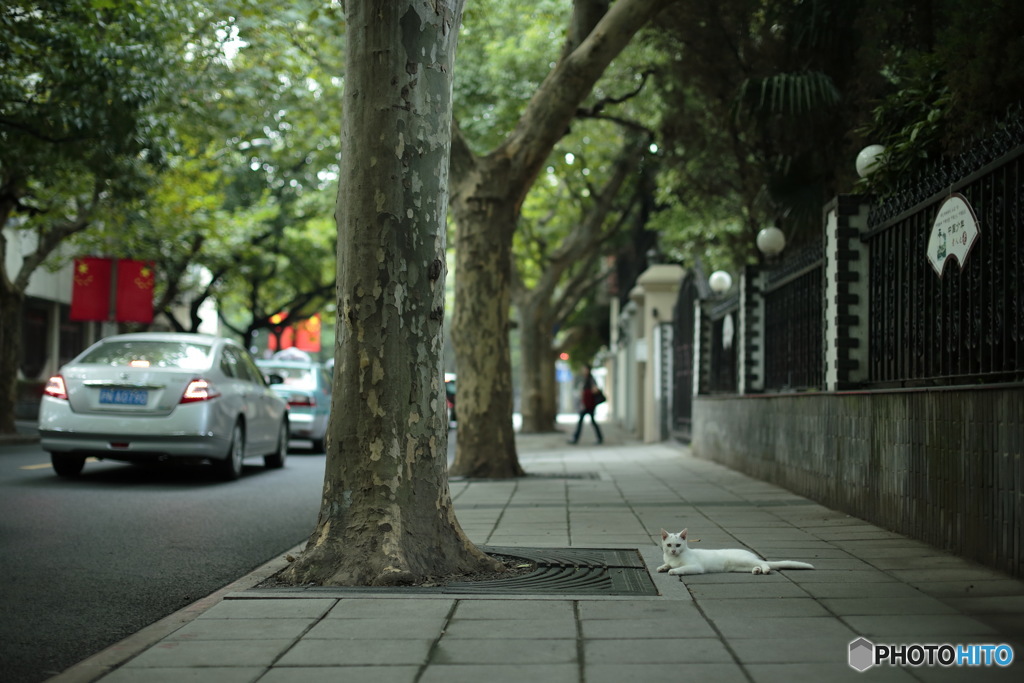 In Shanghai　上海の日常