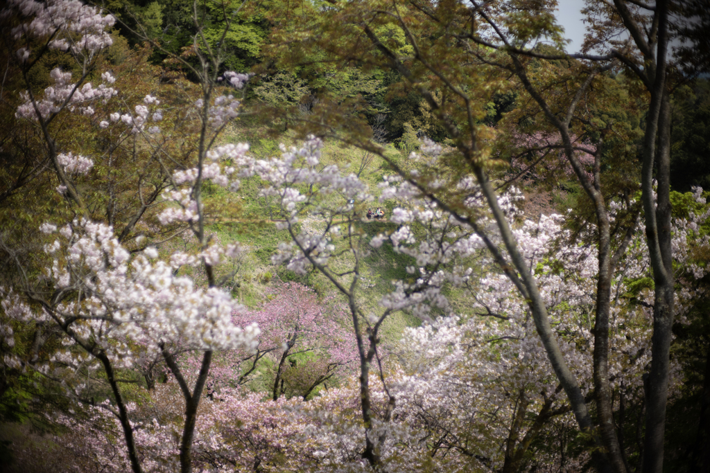 日本の日常　遠くの二人