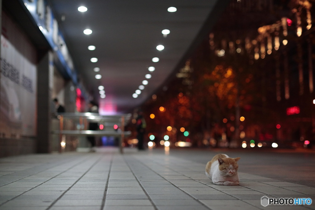 In Shanghai　上海の日常