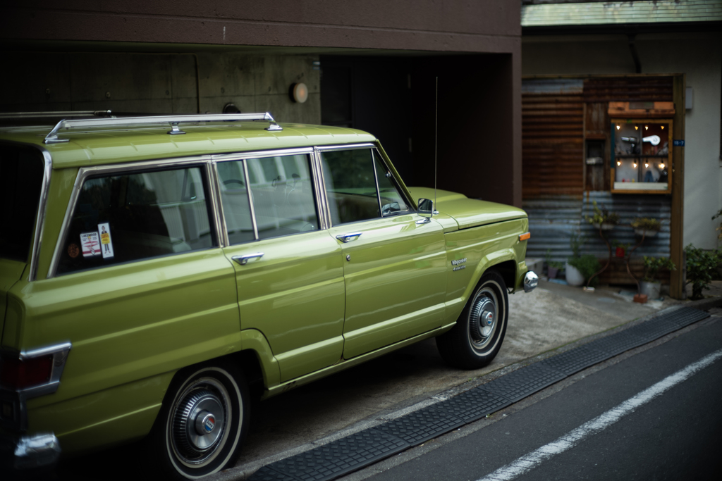 日本の日常　若苗色（わかなえいろ）
