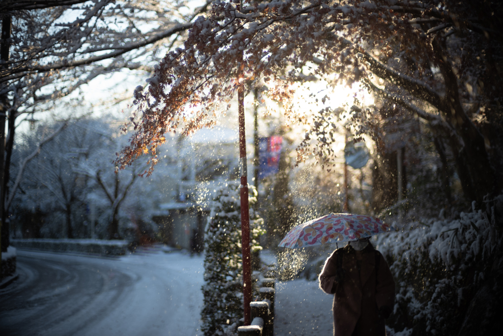 日本の日常　足早に
