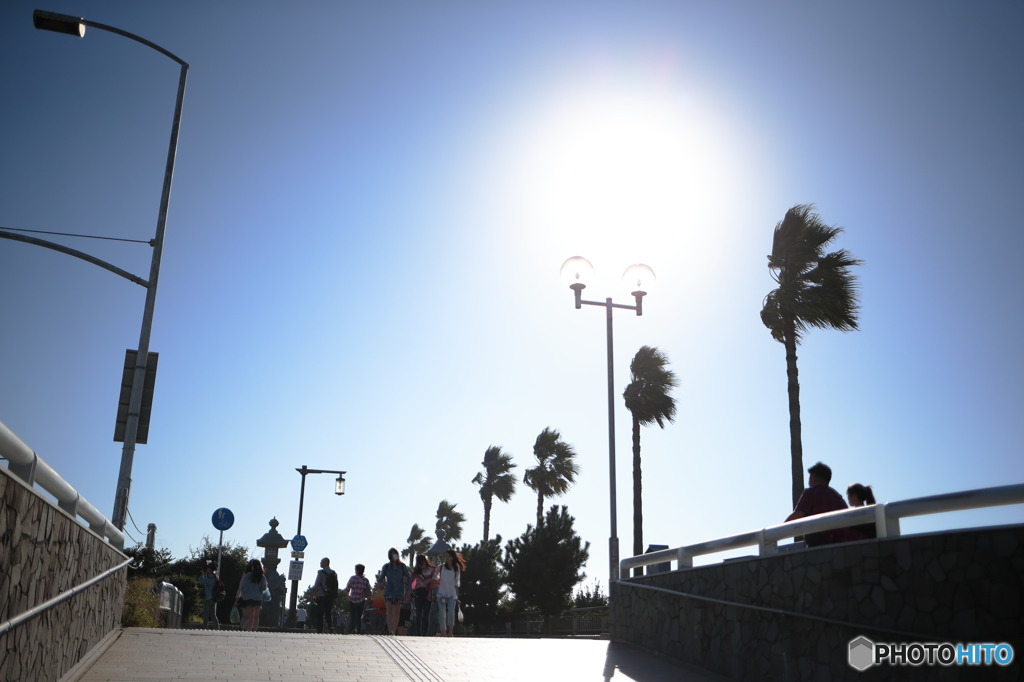 In Japan　湘南の光