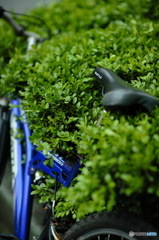 埋もれる自転車