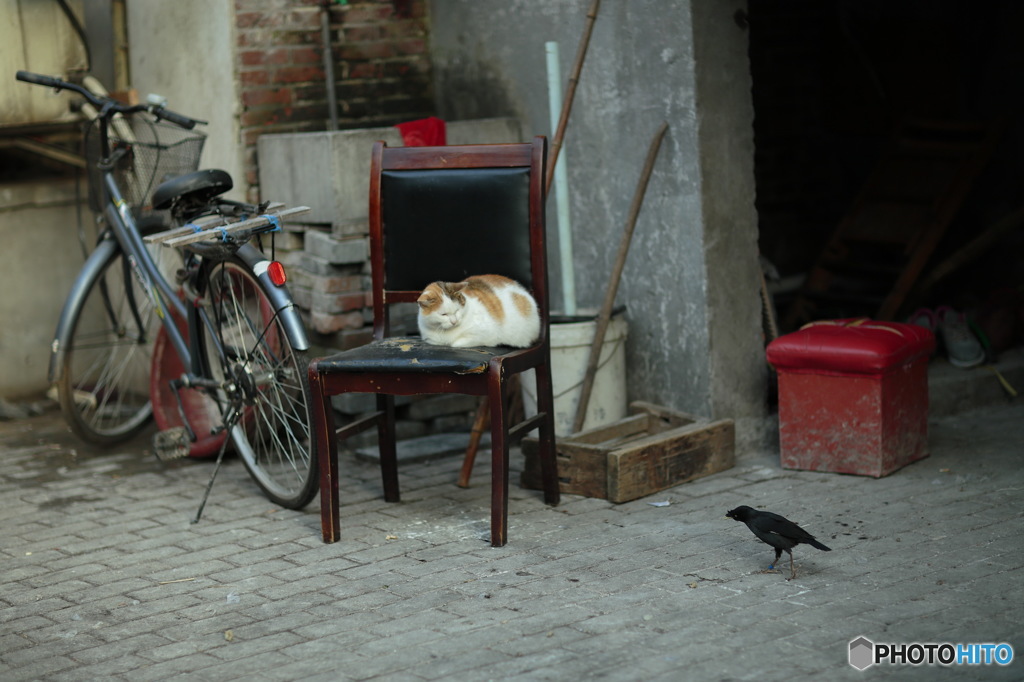 In Shanghai　遊ぼうよ？　今眠いんだけど。。。
