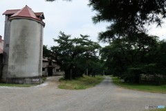 懐かしの小岩井農場