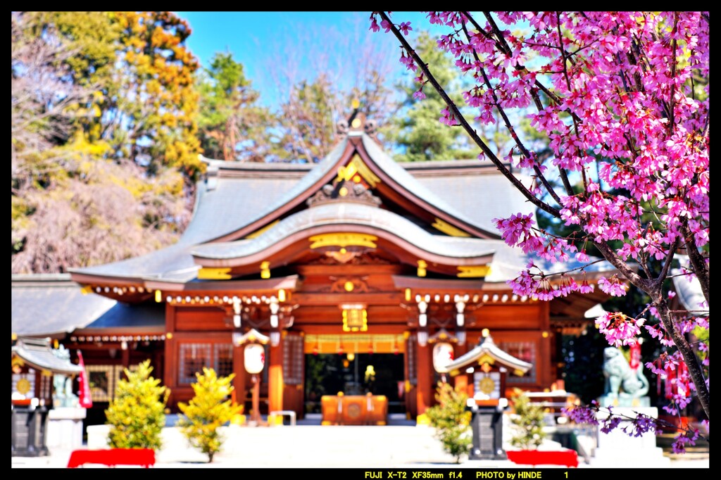 群馬高崎の進雄神社にて④