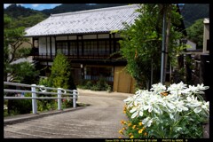 感動の六合村赤岩にて④