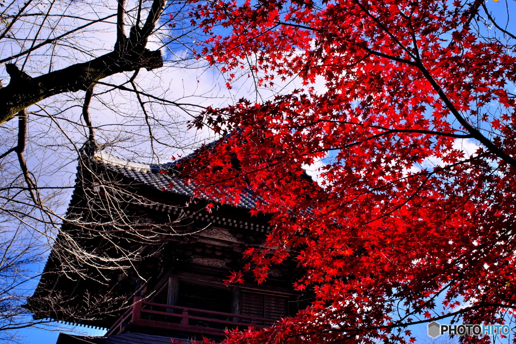 群馬赤城福増寺の秋⑨