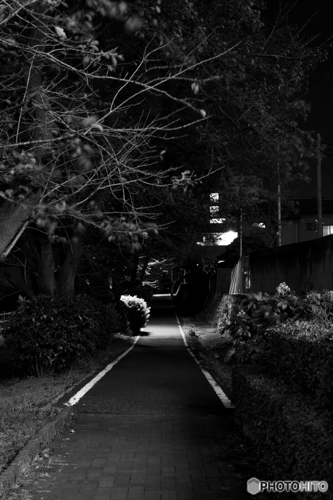 前橋の夜道