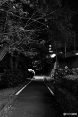 前橋の夜道