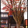 前橋駅前を散策と紅葉と⑫