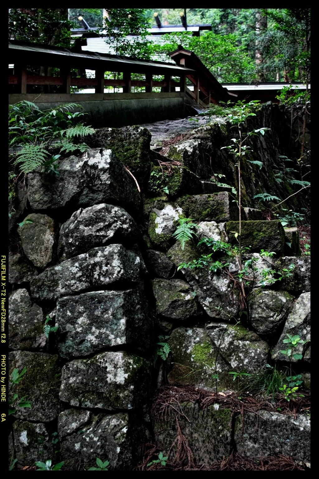 夕方の三夜沢赤城神社にて⑥